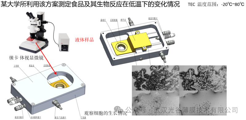 微信图片_2026-06-03_170823_794