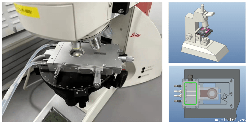 优米体育直播在线观看免费下载联用光学显微镜案例